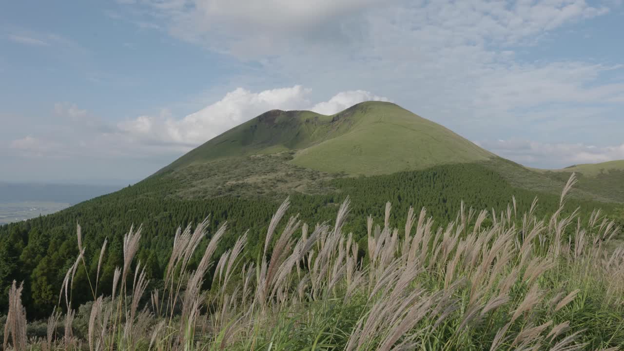 Angin bertiup melalui rerumputan dengan gunung hijau di latar belakang pada hari yang cerah di Taman Nasional Gunung Aso, Kyushu, Jepang