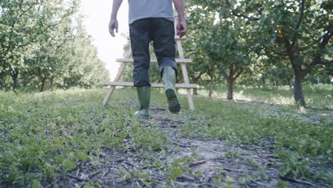 Unrecognizable-person-walking-in-garden-and-collecting-harvest