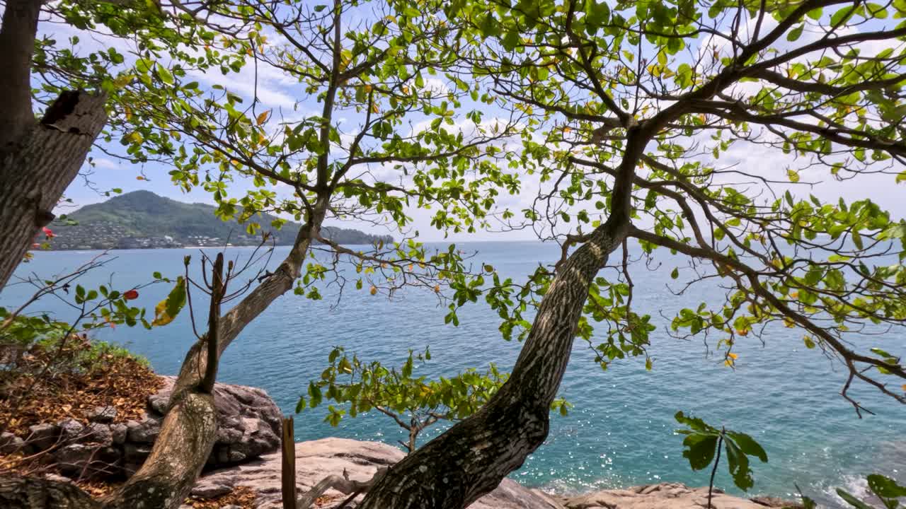 A tranquil scene of ocean waves framed by lush tropical trees under bright daylight in Phuket, Thailand