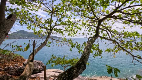 a tranquil scene of ocean waves framed by lush tropical trees under bright daylight in phuket, thailand