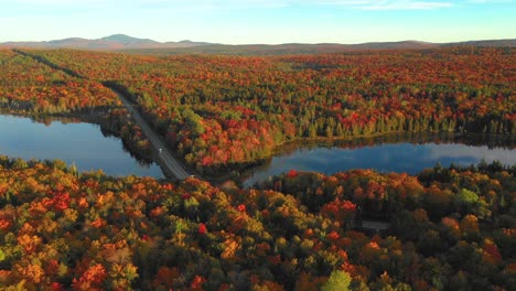 Imágenes-Aéreas-De-La-órbita-Sobre-La-Carretera-Entre-Dos-Estanques-En-Lo-Profundo-De-Un-Bosque-Otoñal