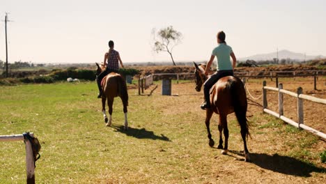 amigos montando a caballo en el rancho 4k