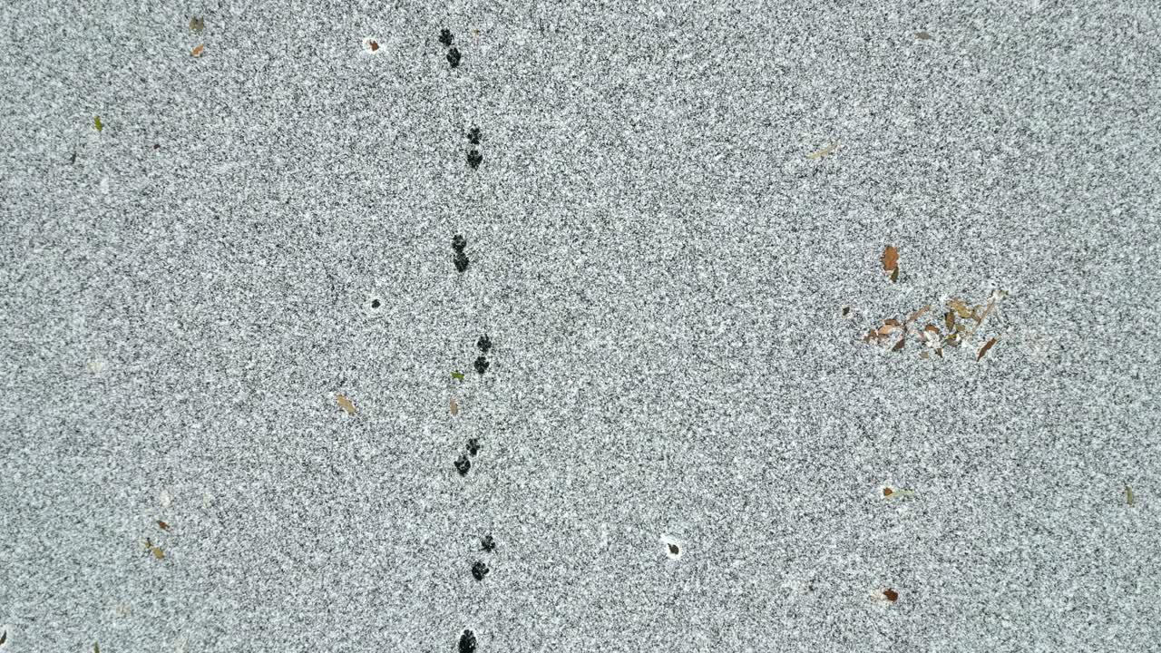 huellas en la nieve en un estanque congelado, imágenes aéreas de drones