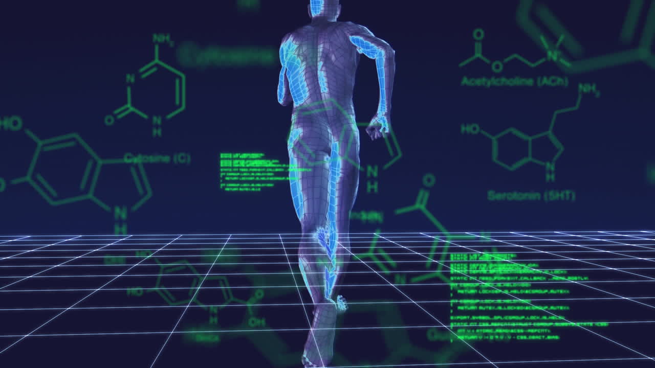 humano giratorio corriendo en la red