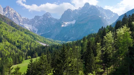 aerial view tilting over spring forest, revealing the peaks of triglav, slovenia