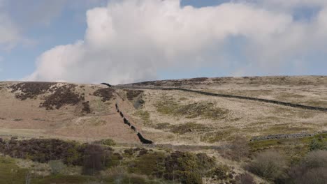 Luftaufnahme-Der-Englischen-Moor--Und-Waldlandschaft