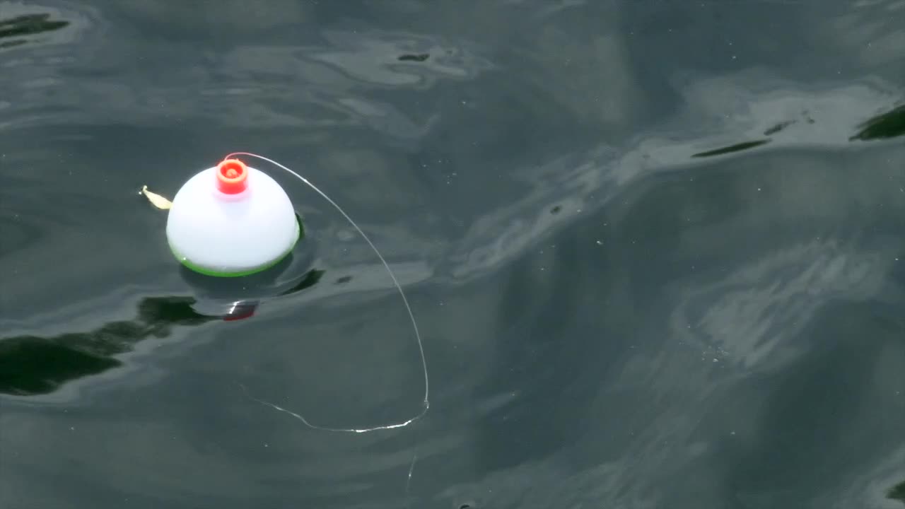 Bobber Drifting Atop Water - High Angle Shot