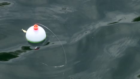 bobber drifting atop water - high angle shot