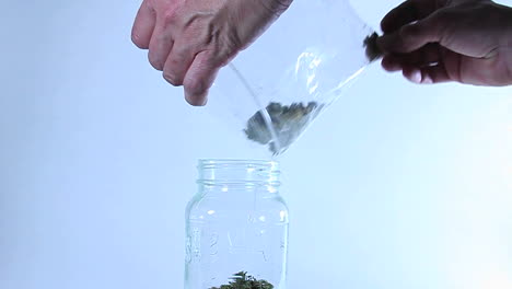 a man puts grass in a jar