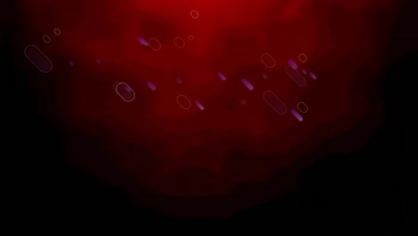 animation of multiple purple light trails moving on red to black background