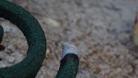 Close-view-of-burning-mosquito-coil-with-blurred-background