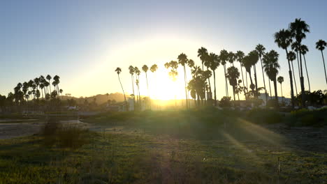 Blick-Auf-Den-Pazifik-Sandstrand-Mit-Palmen-In-Silhouette-Und-Einem-Strahlenden-Sonnenuntergang-In-Der-Wunderschönen-Stadt-Santa-Barbara,-Kalifornien