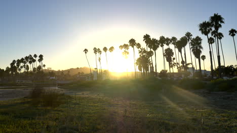 looking around the sandy pacific beach with palm trees in silhouette with a bright sunset in the beautiful city of santa barbara, california