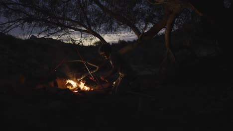 Happy-bearded-caucasian-male-survivalist-adding-wood-to-campfire-in-evening-at-camp-in-wilderness