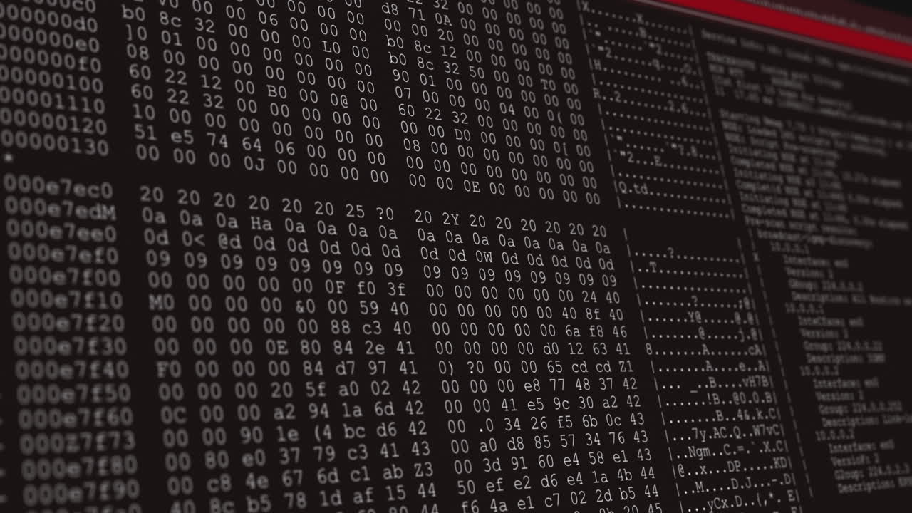 animación del procesamiento de datos en una pantalla de computadora negra y roja