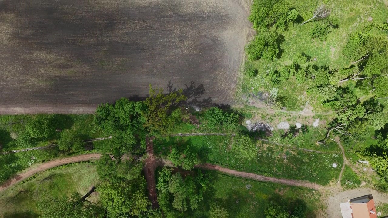 Una prospettiva aerea con drone che mostra un'area giardino lussureggiante con sentieri sterrati che si intersecano, circondata da alberi maturi ed erba