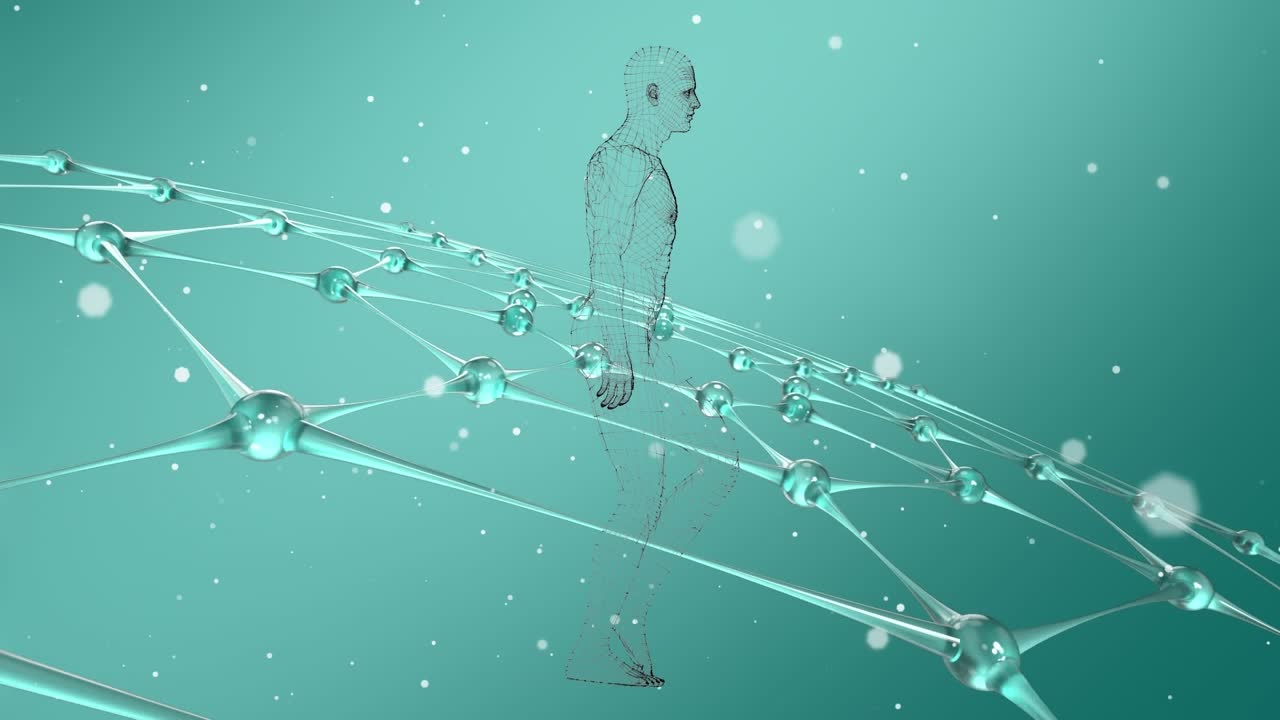 Animação de modelo do corpo humano e grade sobre um plano de fundo azul