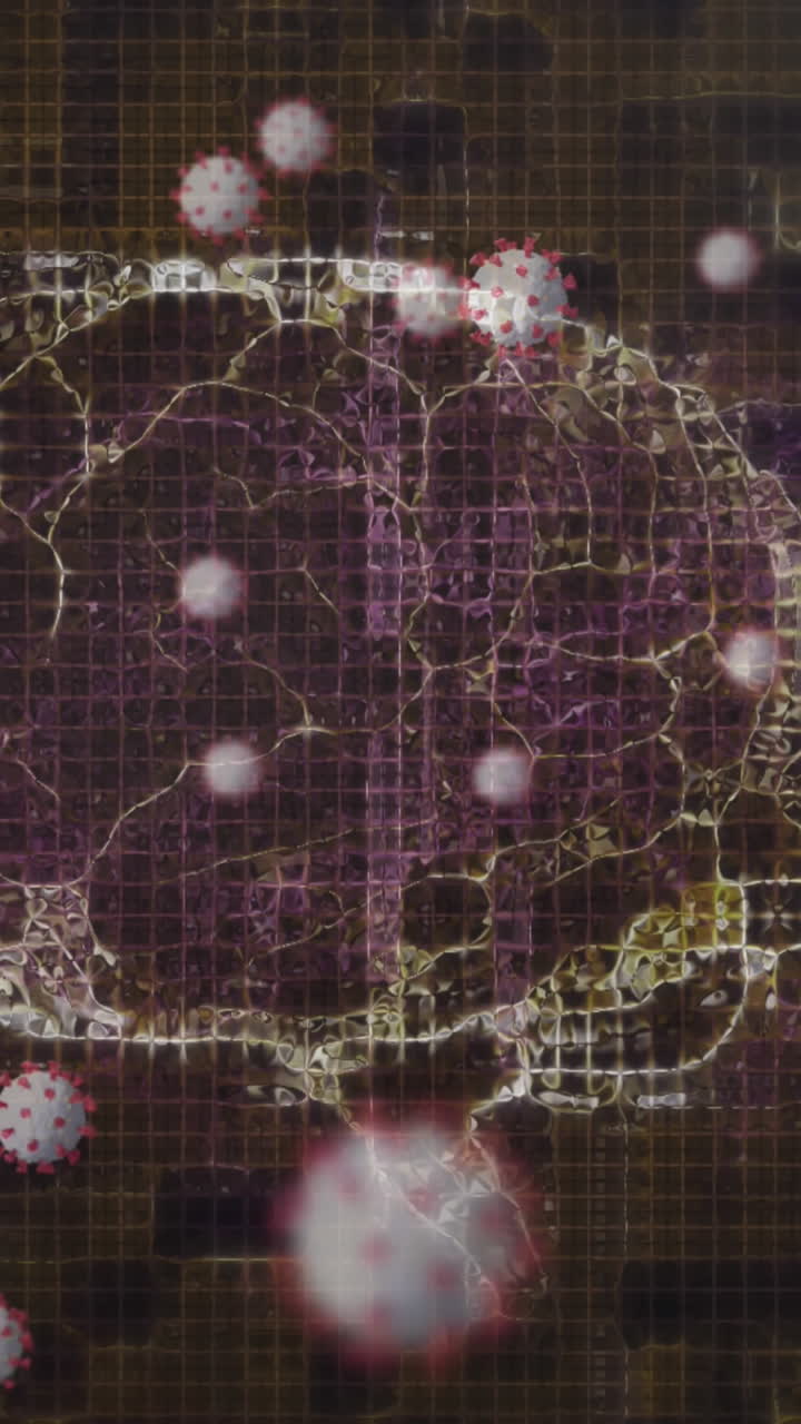 인간의 뇌와 dna 가닥이 회전하고 코로나19 세포가 검은색 배경 위에 떠다니는 애니메이션