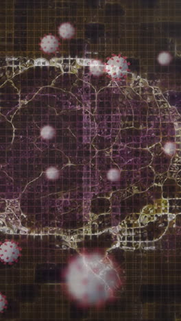 animación del cerebro humano y la cadena de adn girando y las células de covid-19 flotando sobre un fondo negro