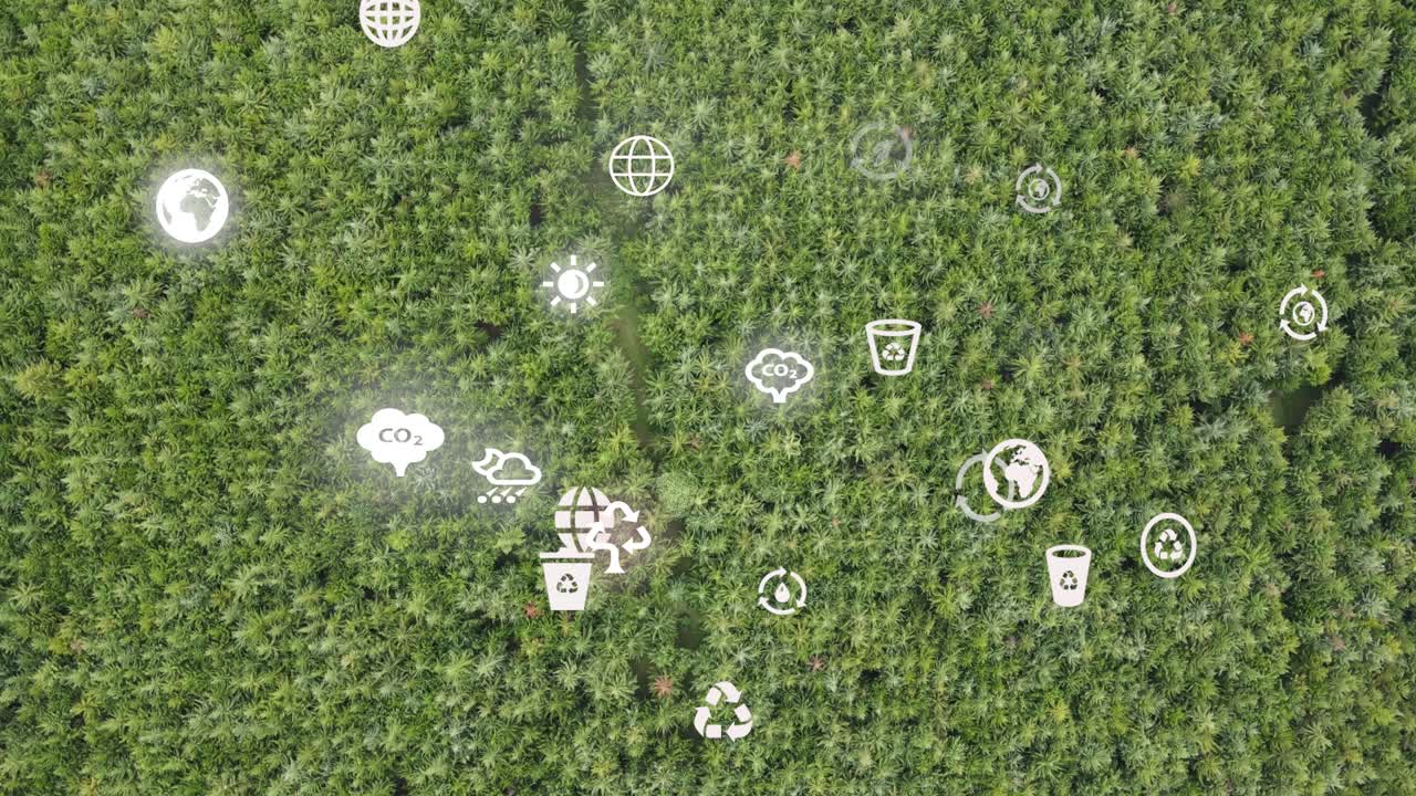 드론 뷰 - 아프리카 숲 - 케냐 와 탄자니아 - 킬리만자로 산의 경사 에 산불 로이토토크 케냐