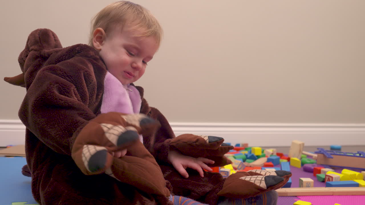 Toddler boy dressed in a dinosaur costume