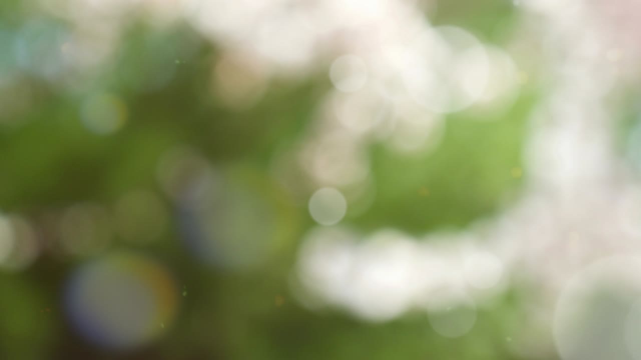 보케와 함께 추상적인 여름 배경