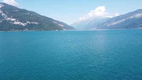volando sobre el hermoso lago azul suizo