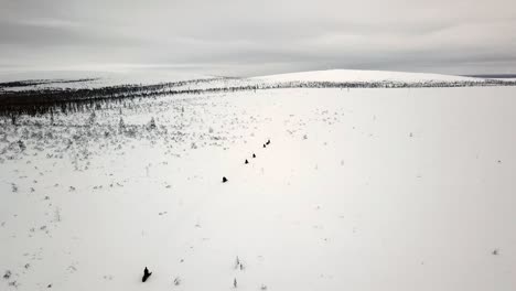 Drone-view-of-snowscootering-in-Saariselka,-Lapland,-Finland