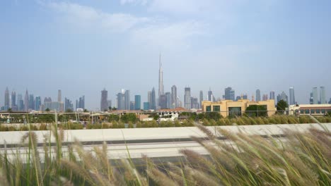 día de brisa con hierba de plumas que se balancea junto a la carretera del centro de dubai en los emiratos árabes unidos