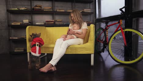 hermosa madre rubia está sentada en el sofá amarillo, sosteniendo a su bebé en las manos e invitando a su perro a unirse a ellos.