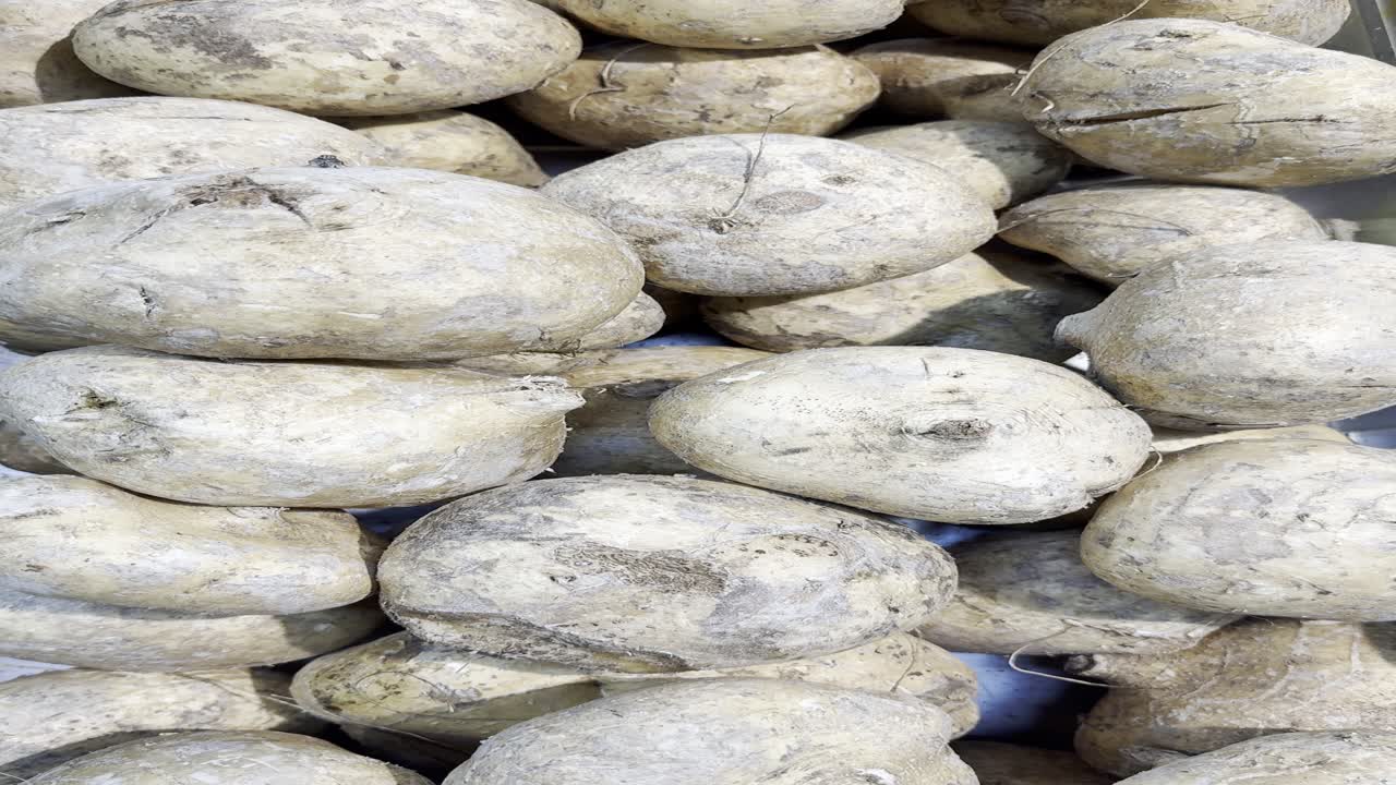 Primo piano di radici di jicama fresche in un mucchio