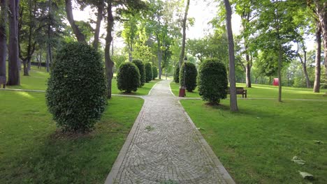 park pathway on a sunny day