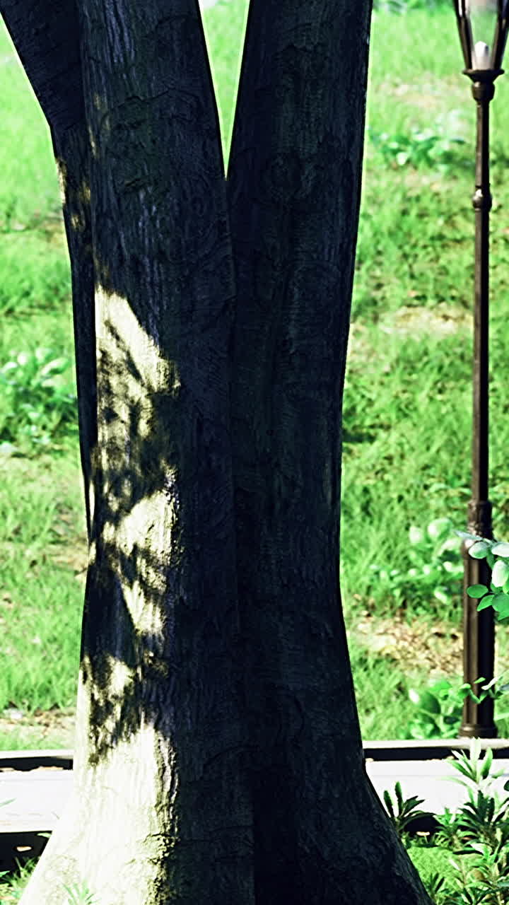 Tree trunk and green leaves near a lamp post in a sunny park area in spring