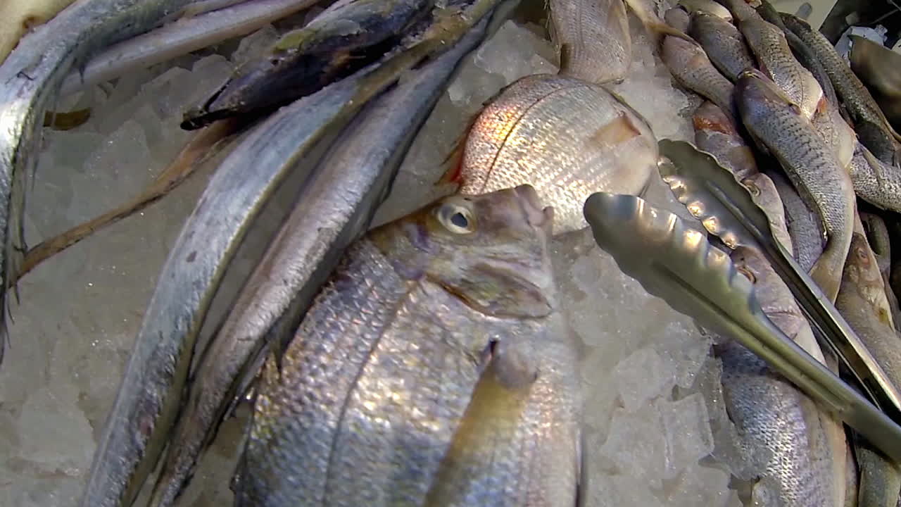 Lobster and a wide variety of whole fish on ice, in seafood market.