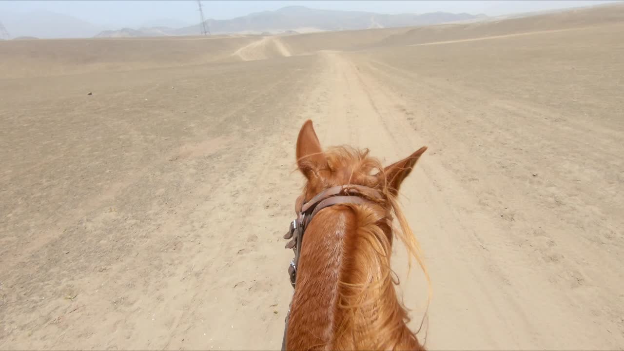 caballo cansado cabalgando por tierras desiertas y parando, jinete femenina pov