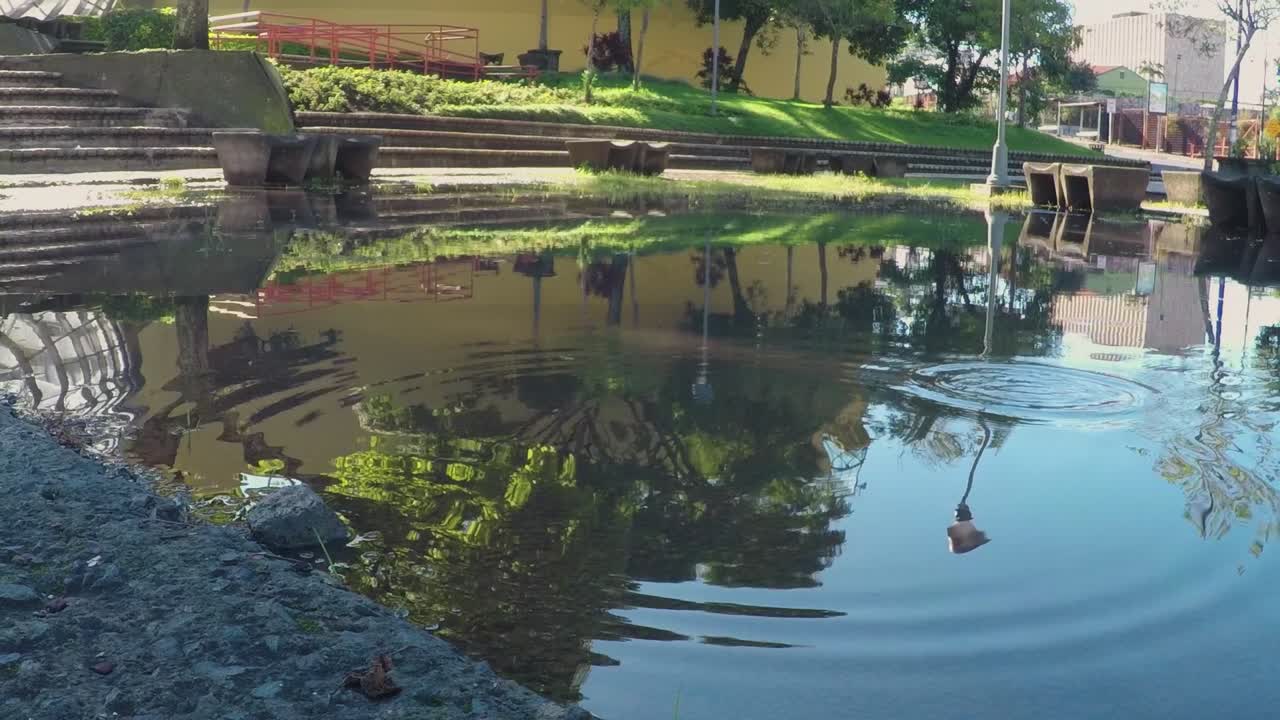 ondas en un pequeño charco en el parque