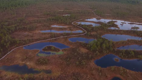 Rised-Bog-Vista-Aérea-De-Alto-Nivel-De-Agua-En-Otoño-En-Kemeri,-Latvis