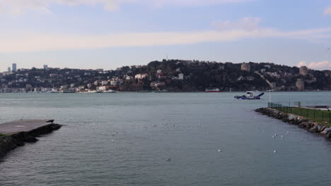 seagulls swimming at bosphorus strait with a sailing boat - rumelihisari, rumelian castle with uskudar on the banks of bosporus in istanbul, turkey