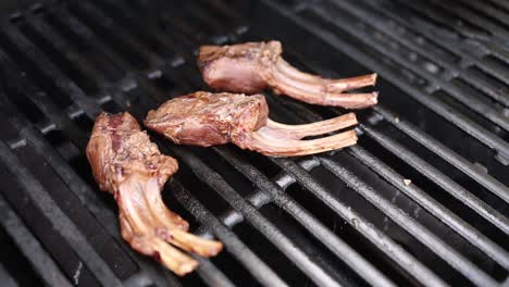 grilled lamb chops on the grill