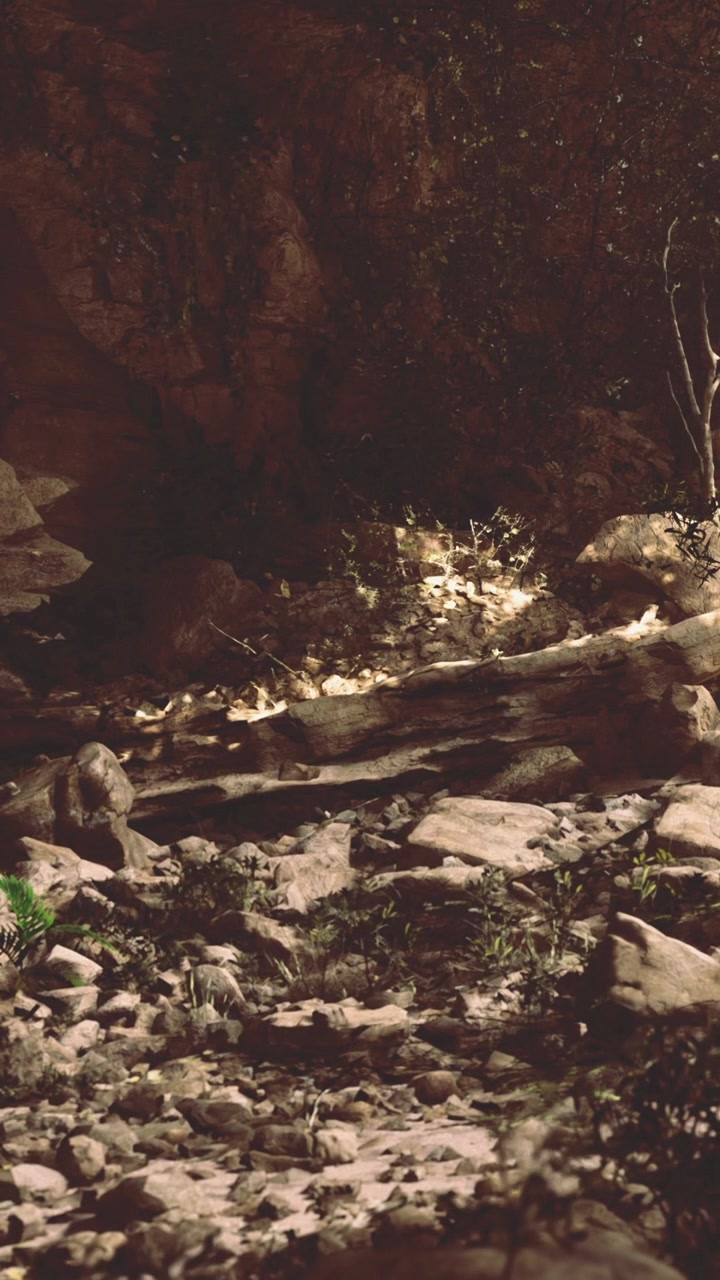 Scena che mostra rocce e piante lungo la riva di un fiume in una foresta al tramonto.