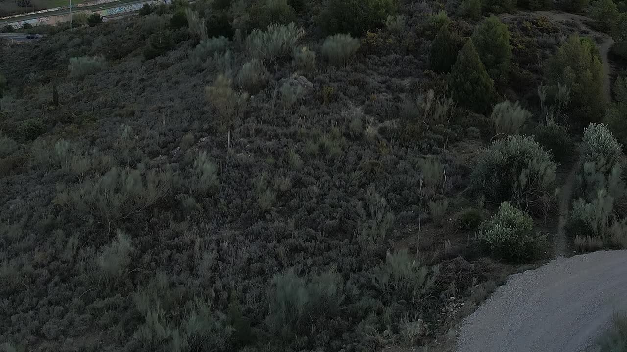 Detailed Aerial View of Road Curve