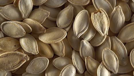 pumpkin seeds close up.