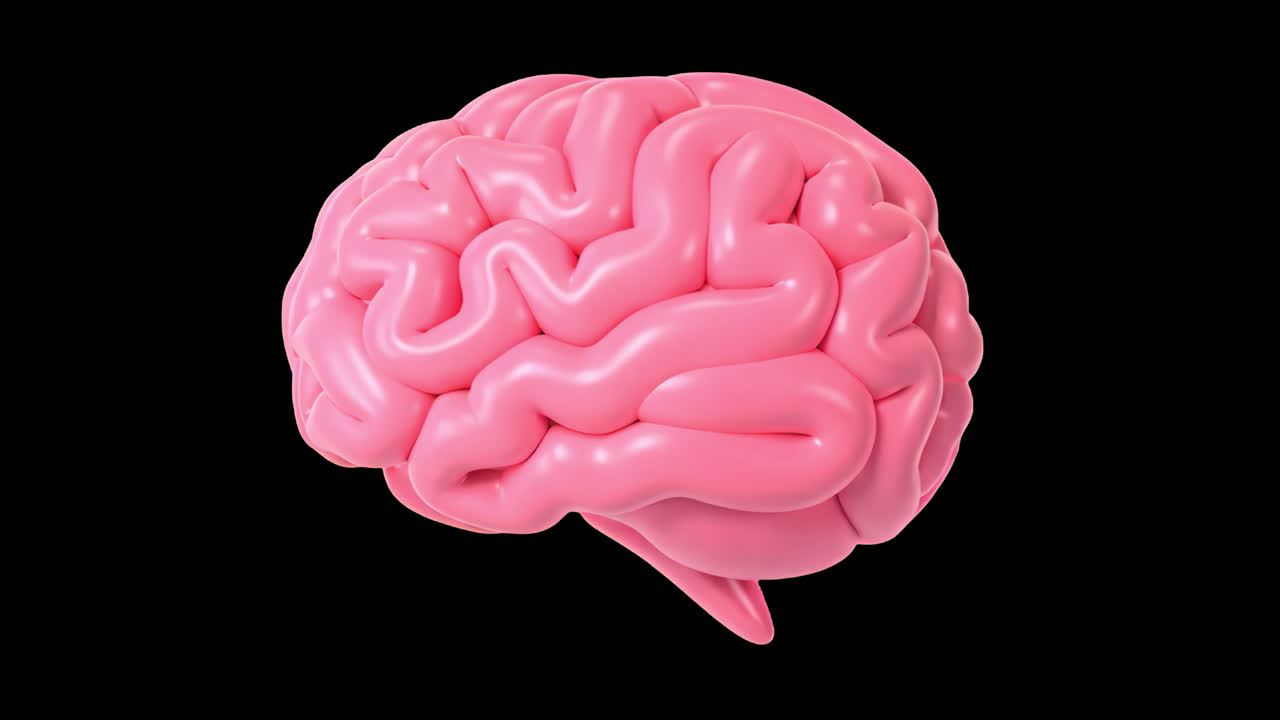 3d pink brain animation isolated asset, transparent 4K video, alpha channel, ProRes 4444