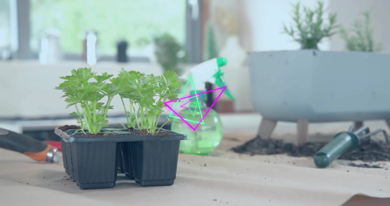 Neon triangles appearing over seedlings, pulsing to highlight tray spray bottle, planter and trowel