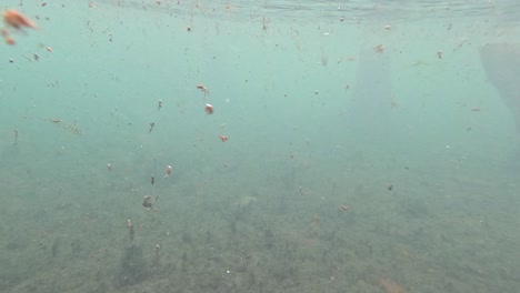 underwater riverbed view