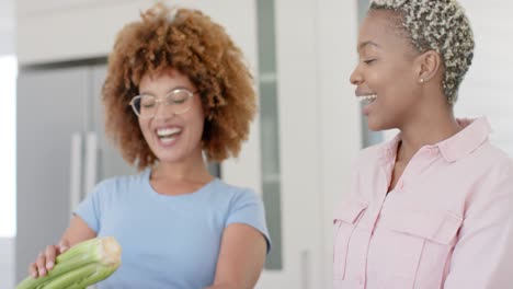 feliz pareja de lesbianas diversas desempaquetando comestibles en la cocina en cámara lenta