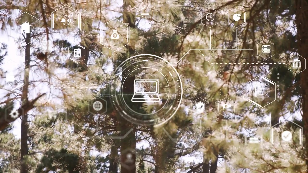 Faint overlay appearing, laptop HUD growing rings, nodes, branches swaying, showing network