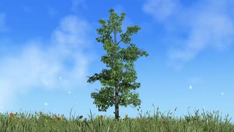 animated time lapse beautiful blue sky over single tree with clouds in motion