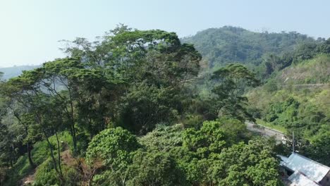 Aerial-revealing-shot-of-a-highway-through-the-rainforest