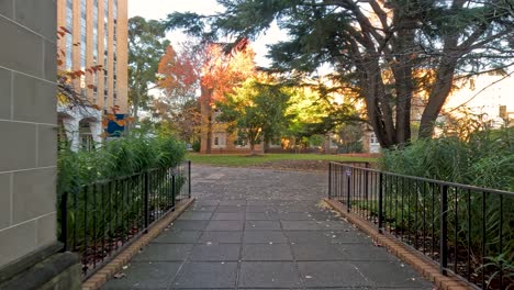 a serene university pathway with autumn foliage